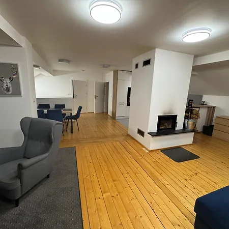 Salmopolskie Zacisze Apartament *