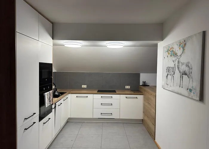 Salmopolskie Zacisze דירה *